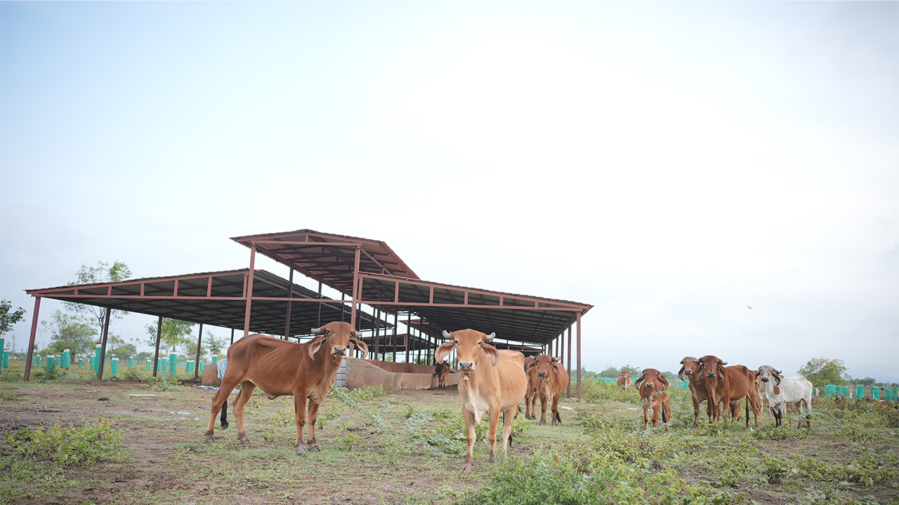 Village Development Projects